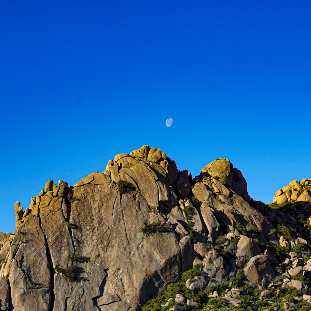 Time is a Dear&nbsp;Friend