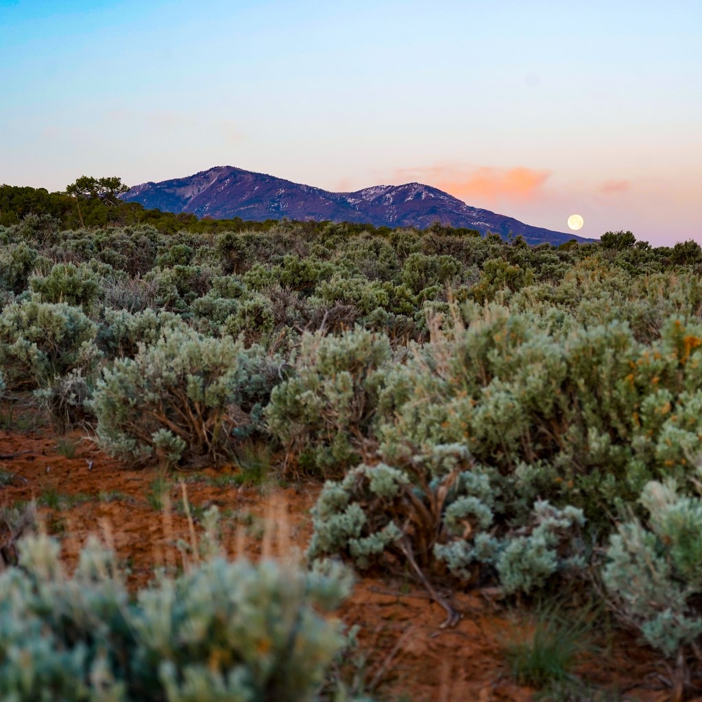 Following Mother Earth